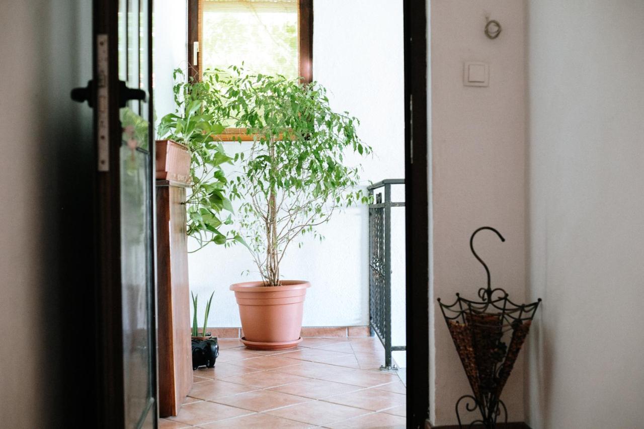 Apartment Ikar Μόσταρ Εξωτερικό φωτογραφία